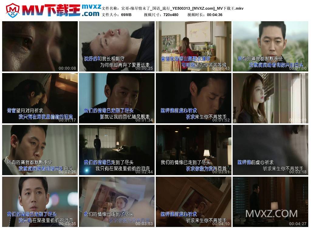 宏哥-缘尽情未了_国语_流行_YE500313